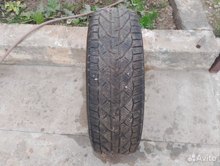 Tigar Winter 205/65 R18