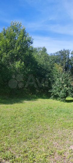 Участок 30 сот. (ИЖС)