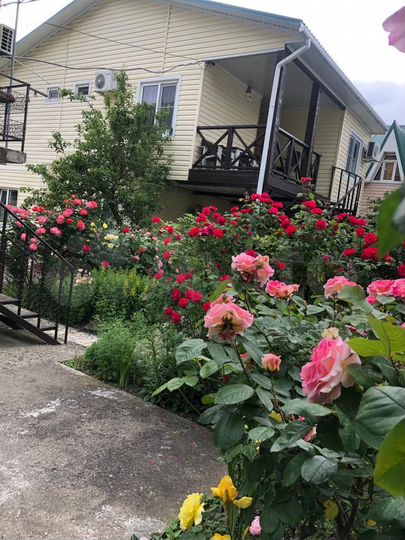 Комната 15 м², 1/3 эт.