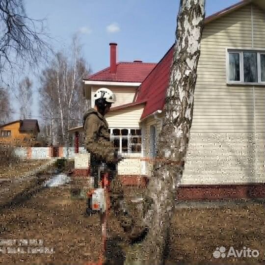 Спил деревьев М2 Серпухов
