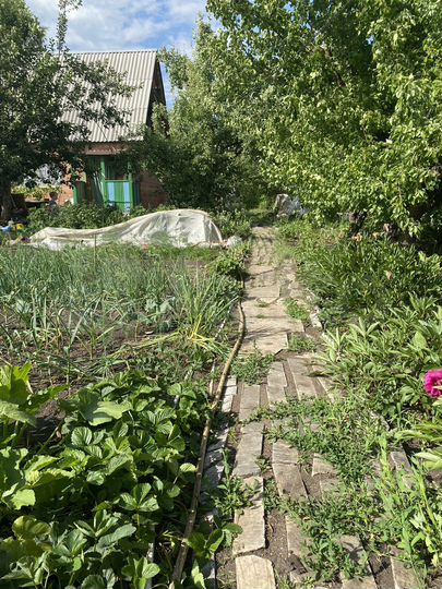 Дача 38 м² на участке 6 сот.