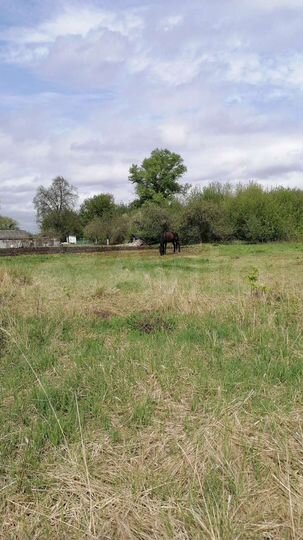 Дом 32 м² на участке 28 сот.