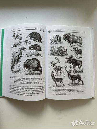 Учебник по биологии 11 класс