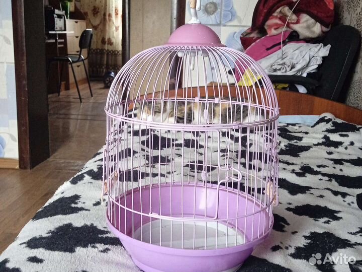 Клетка для птиц бу