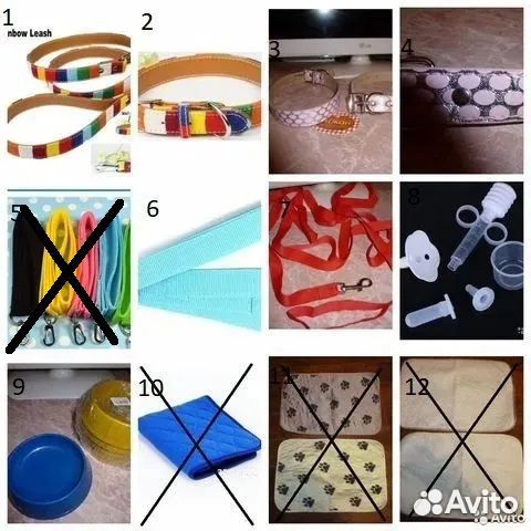 Поводки,ошейники,шприц,миски