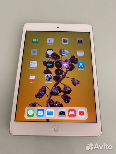 iPad mini 2