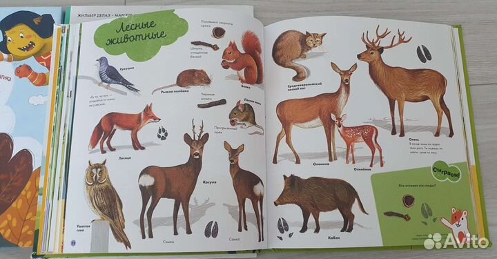 Детские книги, 2+, разные, цена от