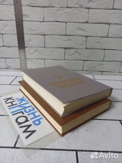 Библейская энциклопедия в 2 т. 1990 г