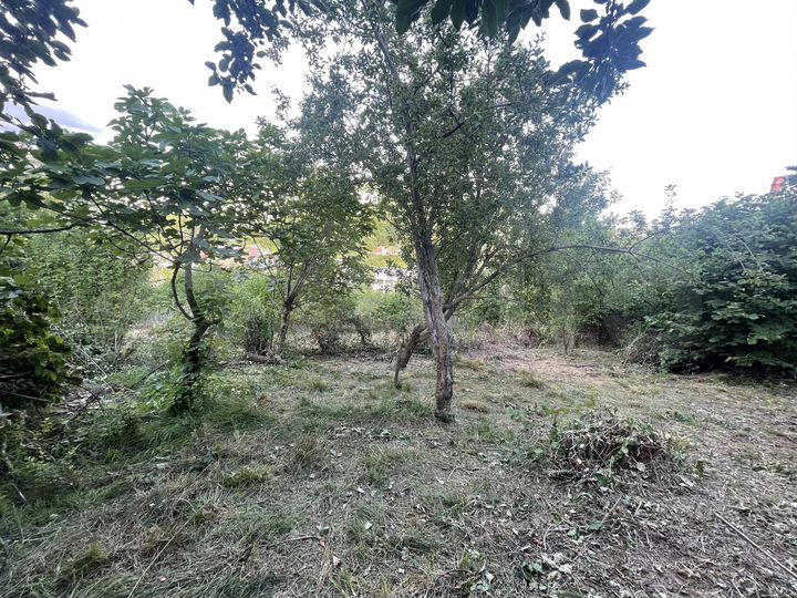 Участок 5,7 сот. (СНТ, ДНП)