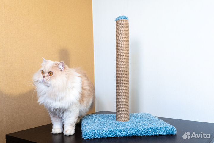 Когтеточка для кошек на заказ