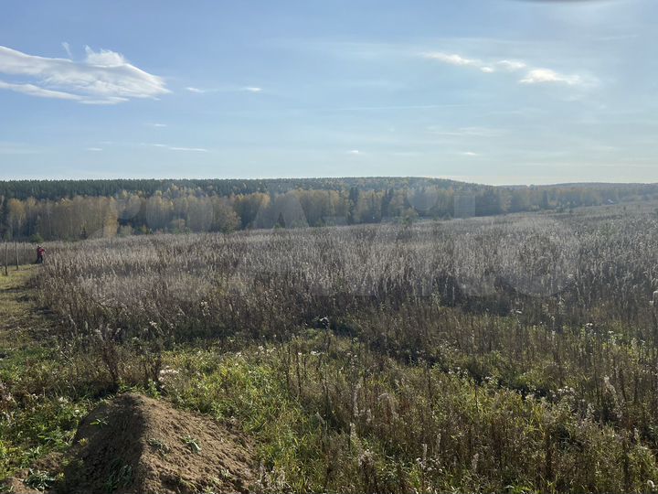 Участок 10 сот. (СНТ, ДНП)