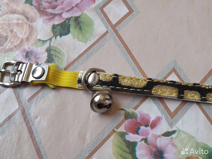 Ошейник+шлейка+поводок