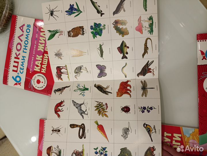 Школа семи гномов 6 + пособия для подготовки