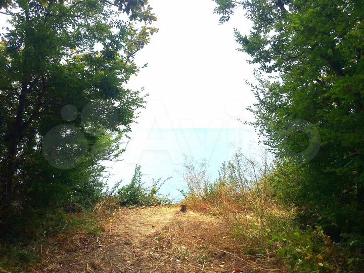 Участок 8 сот. (СНТ, ДНП)