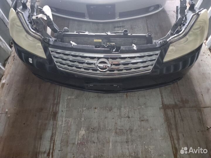 Ноускат на Nissan Fuga Y50