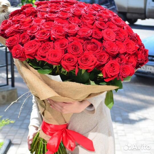 101 роза цветы букеты роза доставка 25 51 75