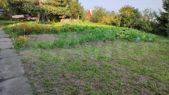 Дача 30 м² на участке 9 сот.