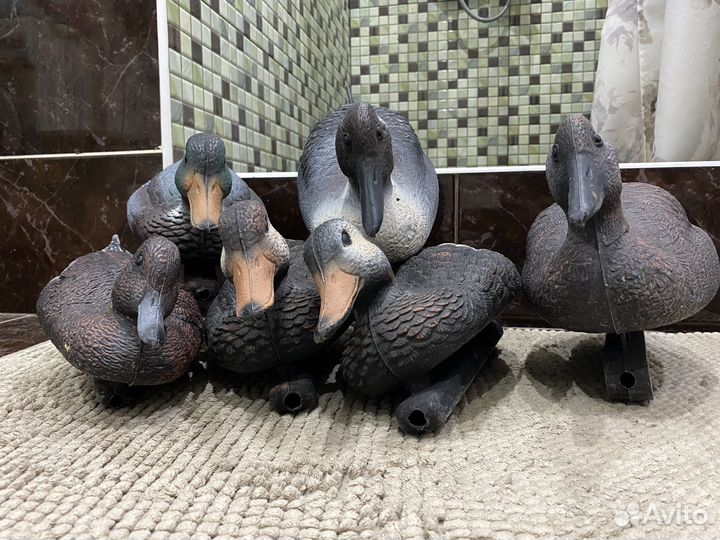 Утки подсадные для охоты