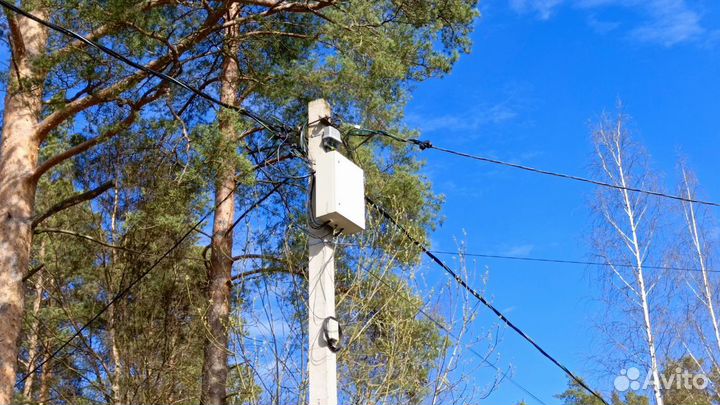 Подключение электричества 15 кВт в Псковской обл