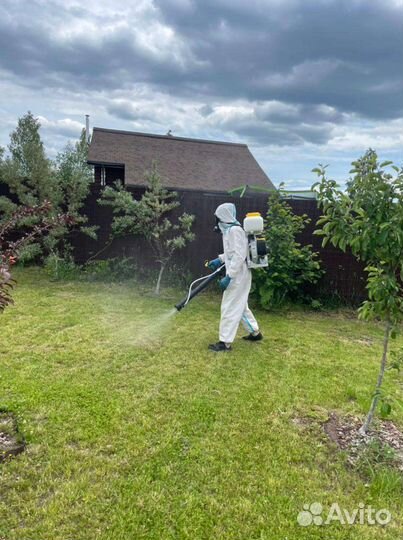 Уничтожение Комаров, Клещей, Ос, Мух