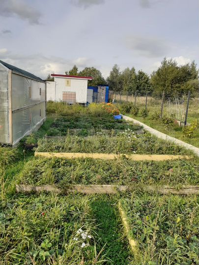 Участок 12 сот. (ИЖС)