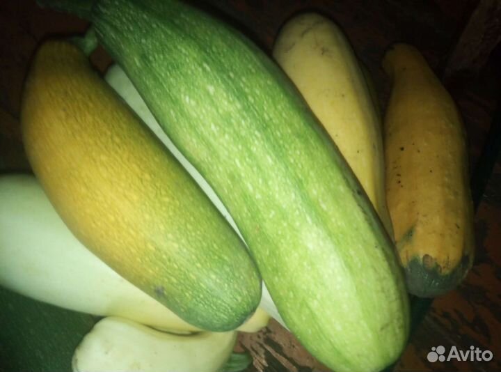 Кабачки деревенские