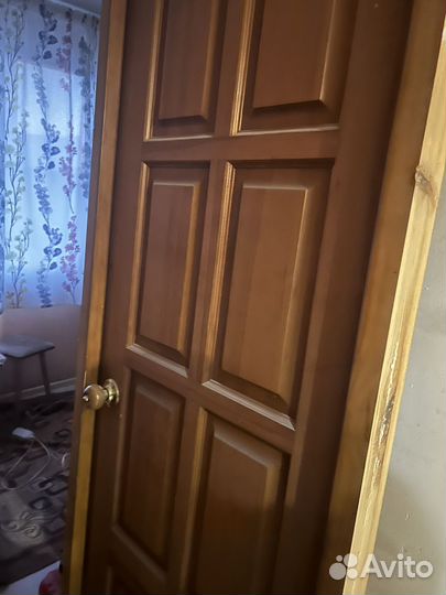 Коробка дверная и дверь с наличниками