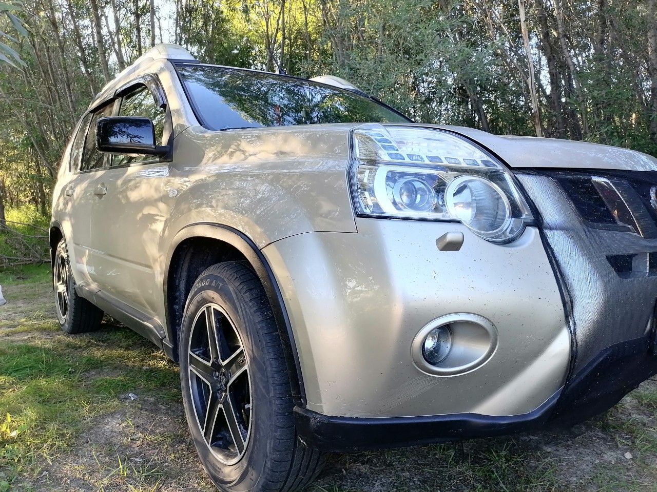 Nissan X-Trail: фото владельца