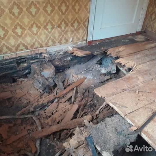 Ремонт деревянного пола и перекрытий за 1 день