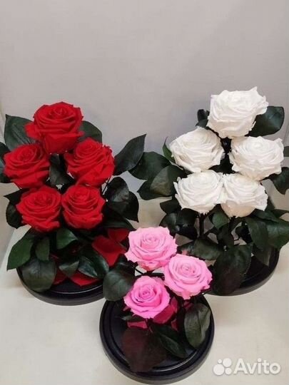 Роза в колбе оптом