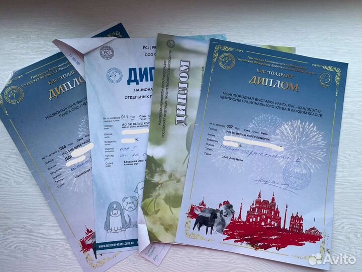 Клеймение Обмен документов Фото помета