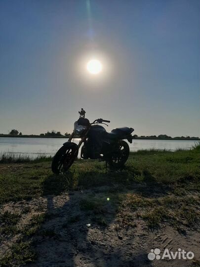 Stels flame 200