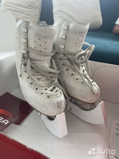 Коньки фигурные edea overture 205 MK professional