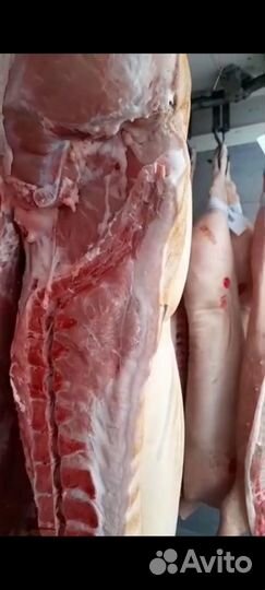 Свинина от производителя