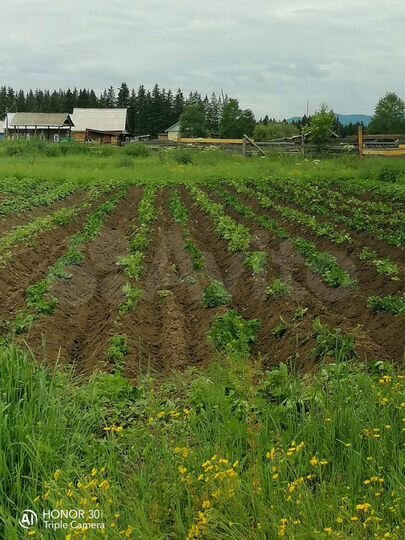 Участок 20 сот. (ИЖС)