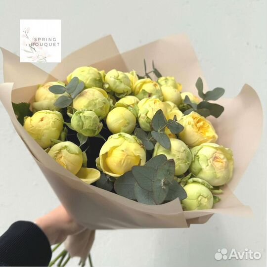 101 роза Цветы