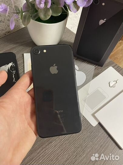 iPhone 8, 256 ГБ