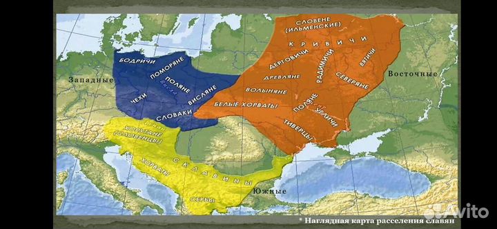 Репетитор по истории