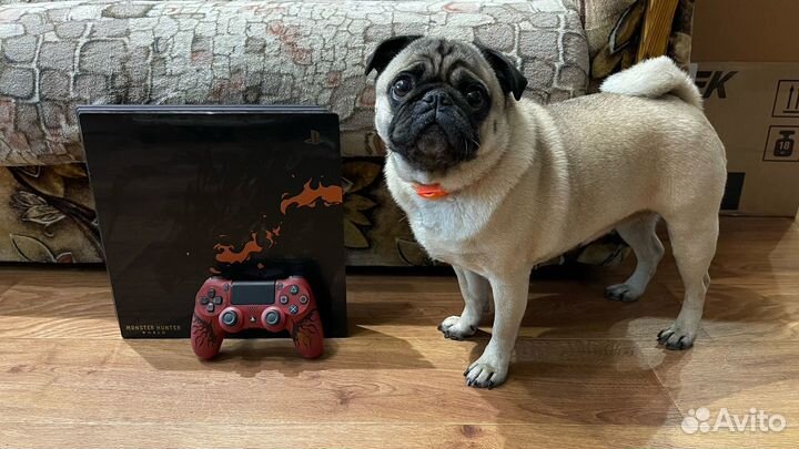 Sony ps4 pro Monster Hunter