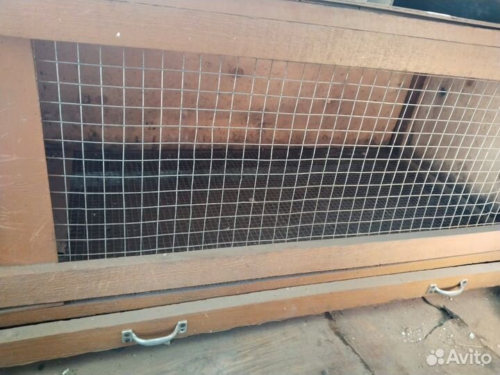 Брудер для цыплят