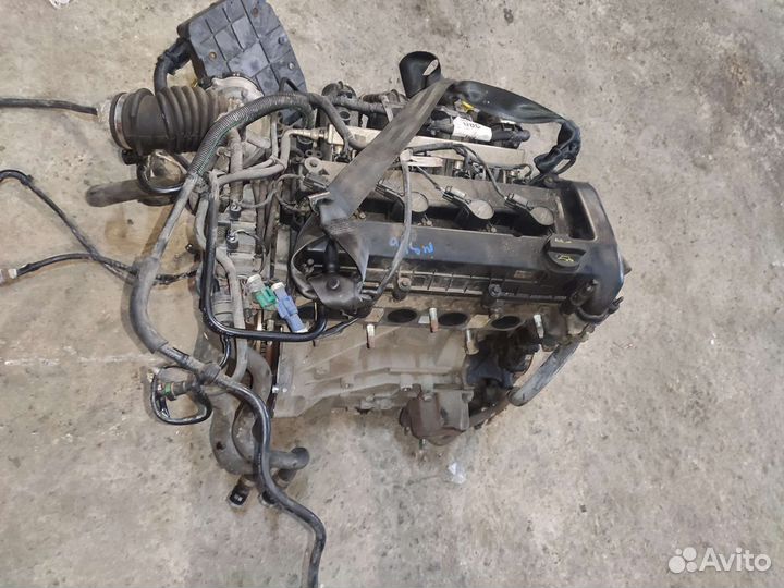 Двигатель qqdb 1.8L бензин Форд Фокус 2
