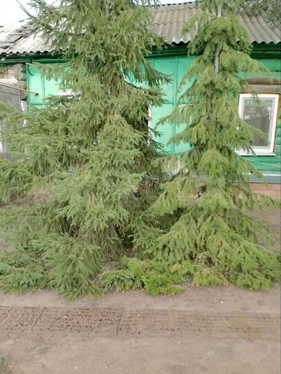 Дом 47 м² на участке 49 сот.