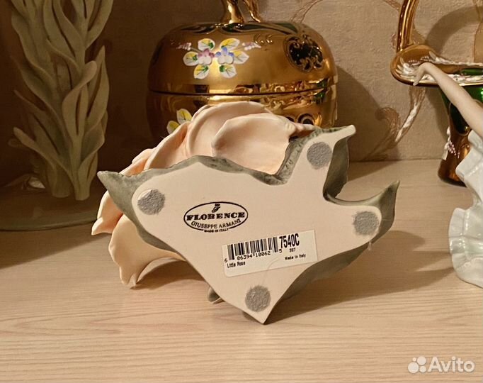 Младенец в розе