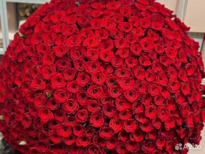 Розы на 8 марта, 101 роза, 10001 роза