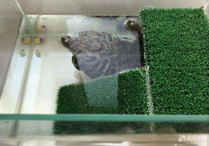 Коврик для террариума