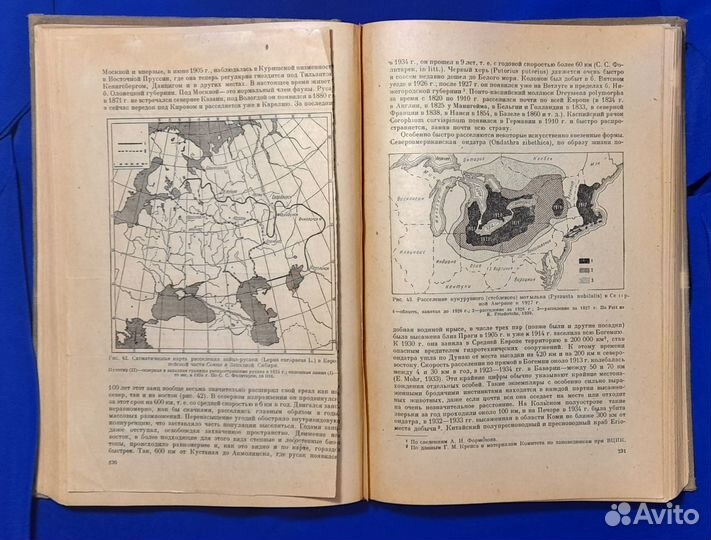 Общая зоогеография. В.Г. Гептнер. Биомедгиз 1936 г