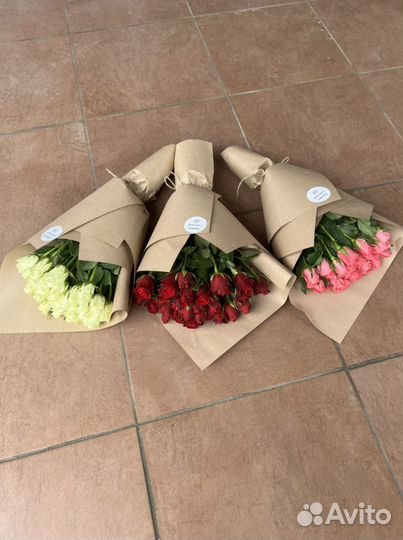 Роза 25 (40см)