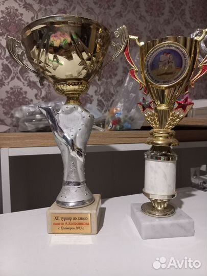 Кубки наградные по Дзюдо