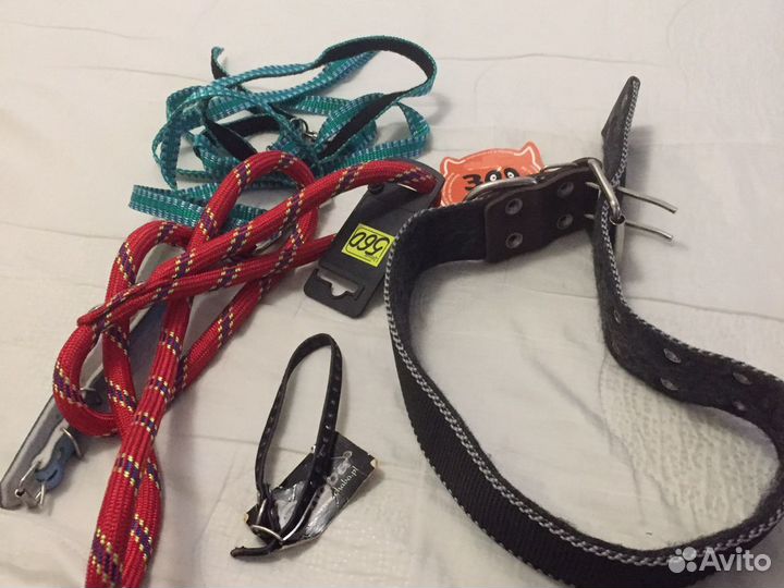 Одежда для собак