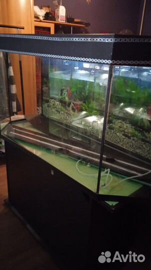 Аквариум